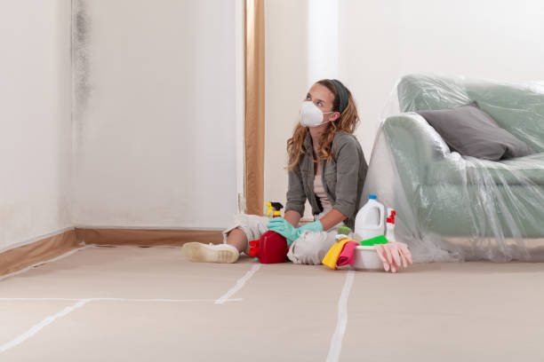 Reliable Attic Mold Removal contractor in Vernon Hills, IL by WQB Mold Removal